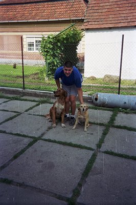 Young man in a blue athletic shirt stands playfully with two medium-sized dogs in a paved courtyard. A brick building with vi...
