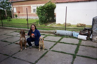 A person kneels between two tan-colored dogs in a backyard setting. The brick building and overgrown foliage suggest a reside...