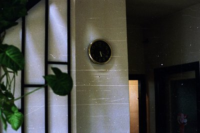 A vintage brass clock is centered on a tiled wall, partially obscured by foliage. The clock face is yellowed with age, showin...