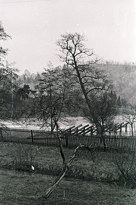 Striking black & white image shows a gnarled, leaning tree in foreground, with a weathered wooden fence and a tiered structur...