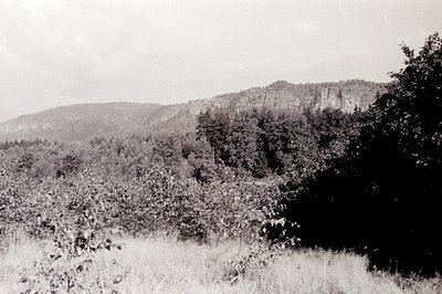 Monochrome view of a forested hillside with a prominent rock face rising above the tree line. Tall grasses fill the foregroun...