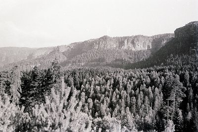 A sweeping vista of dense evergreen forest covers the lower slopes of rugged, rocky hills. The terrain rises dramatically; th...