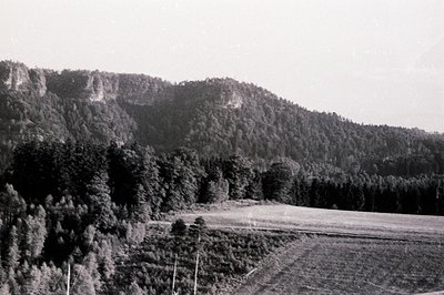 Lush, forested hillside rises dramatically from a flat, cultivated field. Rocky outcrop visible mid-slope. Likely a rural agr...