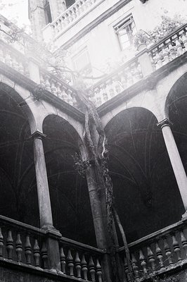 Arched loggia with a central, mature tree growing upwards through the structure. Elaborate balustrade details highlight the a...