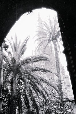 A striking view through an archway reveals lush palm trees and a glimpse of a tall, ornate building. Likely a courtyard or ga...