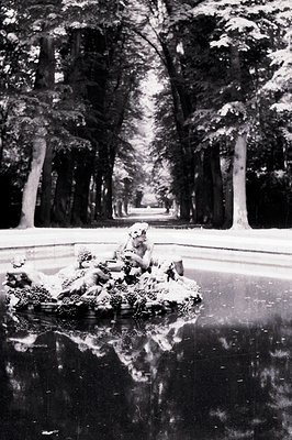 Ornate stone fountain with sculpted figures sits in a reflecting pool. A long, formal allee of mature trees frames a distant ...