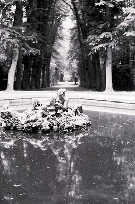 Ornate sculpture atop a dark pool, framed by a straight, tree-lined avenue. Statue depicts figures amidst foliage, reflected ...