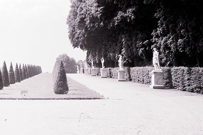 Formal garden path lined with sculpted hedges and marble statues. A series of cypress trees create a symmetrical perspective....