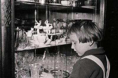 Young boy intently examines a glass display cabinet filled with ornate figurines, glassware, and tableware. Likely a domestic...