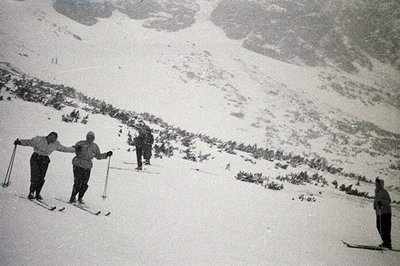 Four figures ski down a snow-covered slope, surrounded by pine forest and towering peaks. Likely taken in the mid-20th centur...