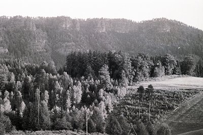 Lush, densely forested hillside descends to a grassy field. The scene captures a rural, possibly mountainous landscape with v...