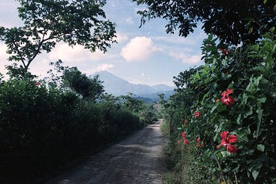 A dirt path leads towards distant, hazy mountains framed by lush foliage and vibrant red hibiscus flowers. The sky is partly ...