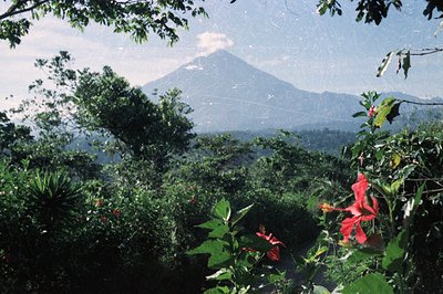 Lush, green hillside vegetation frames a view of a distant, snow-capped volcano. Hibiscus blooms add vibrant color in the for...