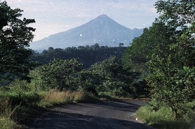 Lush tropical vegetation frames a winding asphalt road leading to a distinctive, cone-shaped volcano. Likely taken in Central...