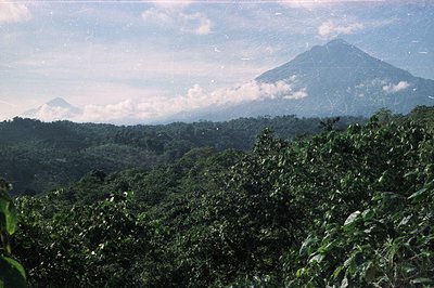 Lush, dense green foliage dominates foreground, transitioning to rolling hills and distant, cloud-covered volcanic peaks. Lik...