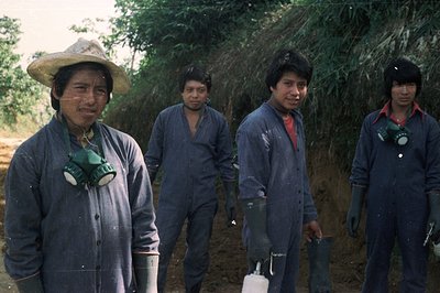 Four men in blue coveralls and rain gear stand outdoors, likely workers. They wear respirators and gloves, suggesting an indu...