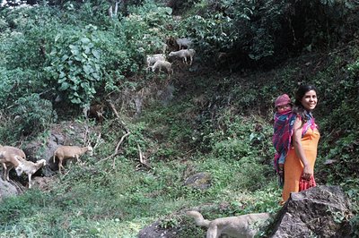 A woman stands beside a rocky slope, carrying a child in a wrap. Wild goats graze amongst dense foliage. The photograph captu...