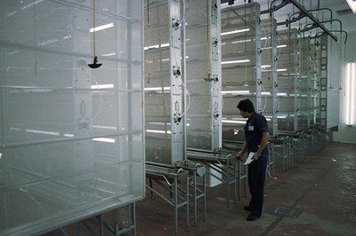 Industrial spray booth with a worker examining work in progress. Rows of metal frames with mesh screens suggest a painting or...