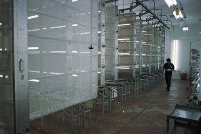 Industrial photograph showing a long, automated powder coating or spray painting line. Numerous racks with metallic component...