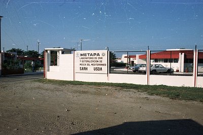 A weathered sign reads "LABORATORIO DE CRIA Y ESTERILIZACION DE MOSCA DEL MEDITERRANEO" with USDA and SARH logos. The scene d...