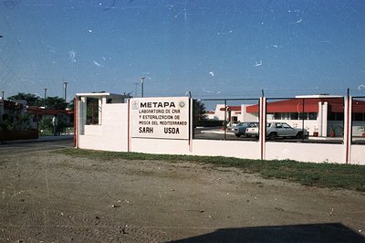 Exterior view of the "Metapa" laboratory, breeding and sterilization of the Mediterranean fly. Sign indicates collaboration w...