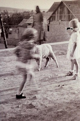 Motion blur captures a child playfully interacting with a lamb in a rural scene. A second child stands observing, wearing a d...