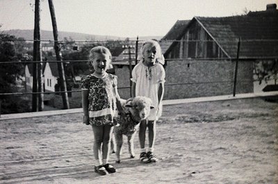 Two young girls, one in a floral dress, the other in a plain dress, stand alongside a small lamb. A rustic wooden fence and t...
