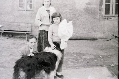 A young boy pets a long-haired dog in a courtyard setting. Two girls stand nearby, one holding a bag. Textured stucco walls a...