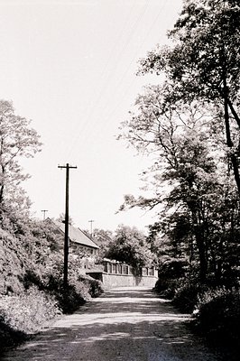 A narrow, uphill asphalt road leads toward a modest home nestled among dense trees. A utility pole dominates the left foregro...