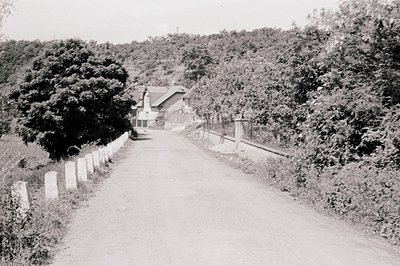 A long, gravel road leads toward a house nestled within dense, overgrown foliage. Stone posts line the road, indicating a pro...