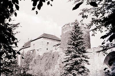 A stone castle with a rounded tower, partially covered in ivy, rises above a stone wall. Architecture suggests a medieval or ...