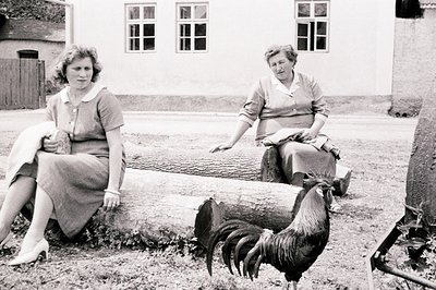 Two women seated on a large log trunk, posed outside a building with multiple windows. One wears a collared dress, the other ...