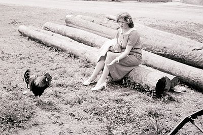 A seated woman in a 1950s dress and heels poses next to stacked logs. A rooster stands nearby. The image features a rural lan...