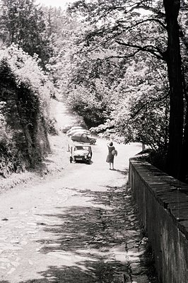Winding, narrow road flanked by a concrete retaining wall and dense trees. Three vintage automobiles are visible, with a woma...