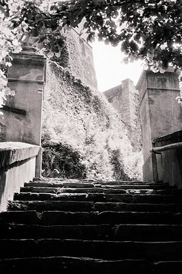 A steep, weathered stone staircase ascends between aged stone walls, overgrown with dense vegetation. The scene, likely a cou...