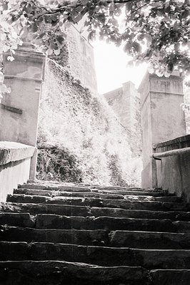 Stone steps ascend towards a bright, overexposed opening framed by weathered architecture and foliage. The textured surfaces ...
