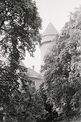A view through foliage reveals a castle tower with crenellations and conical roof. The structure appears well-maintained with...