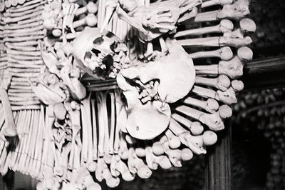 A macabre decorative piece, likely a wall hanging, constructed from animal bones and a human skull. The arrangement features ...