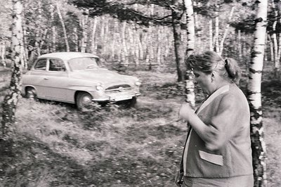 A woman in a patterned suit stands facing away from the camera in a birch forest, alongside a parked, vintage sedan. Appears ...