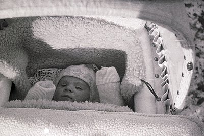 Black and white photograph of an infant nestled within a heavily padded, ornate baby carriage. The baby wears a knitted bonne...