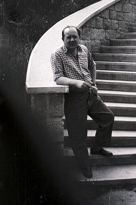 Man in a checkered shirt and slacks leans casually on a stone retaining wall beside a stone staircase. Appears to be a candid...