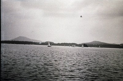 A fleet of sailboats navigates a choppy, dark-watered bay beneath a cloudy sky. Distant, forested hills form the backdrop. A ...