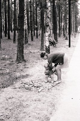 A woman in a skirt and sweater kneels, engaging with a young child wearing shorts and socks, set within a grove of tall pine ...