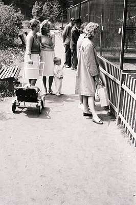 A family observes animals at a zoo, likely in the 1960s. A toddler in shorts gazes intently through a fence while adults in m...