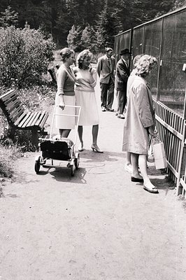 A group of four individuals—two women, two men—walk along a paved path near a fenced enclosure. The women wear 1960s-era dres...
