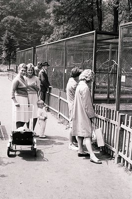 A family group observes a bird enclosure. A young boy stands with a small bouquet, while a woman pushes a vintage pram. Mid-c...
