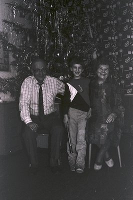 A multigenerational portrait; an elderly man in plaid, a young boy, and an older woman seated near a tinsel-decorated Christm...
