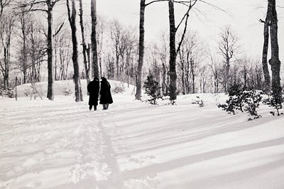 Two figures, clad in dark coats, walk away from the viewer across a snow-covered landscape. Sparse trees and bushes dot the s...