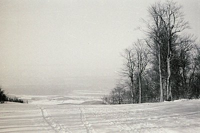 Monochrome landscape depicting a snow-covered field and distant, hazy hills. Several bare trees stand prominently along the h...