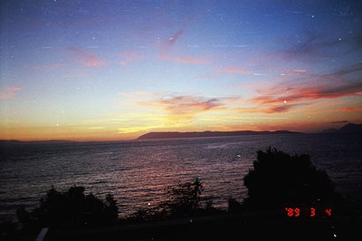 Vivid sunset over a body of water, possibly the Black Sea. Silhouetted trees frame the view of the orange and red sky reflect...